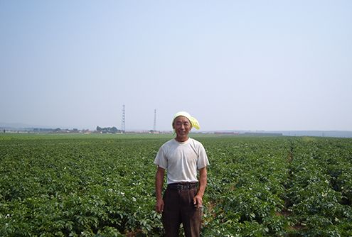 武川縣馬鈴薯示範田